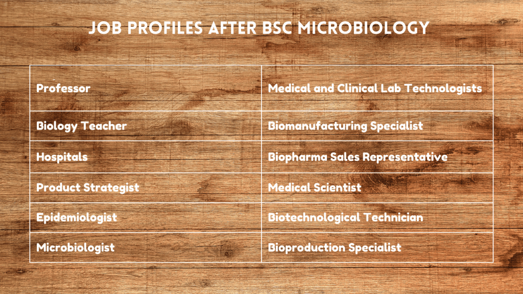 Job Profiles after BSc Microbiology Distance Education