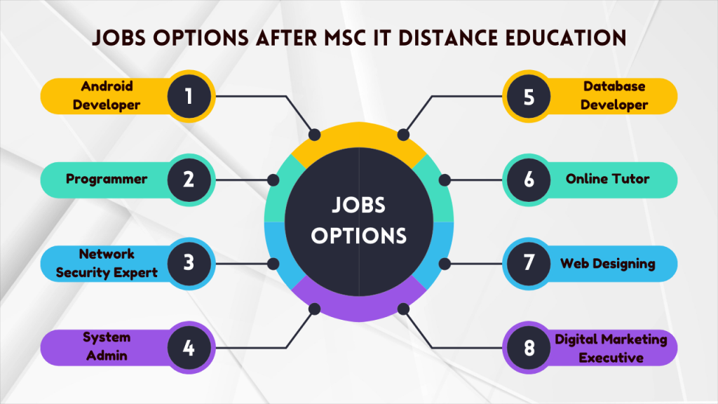 Jobs Options after MSc IT Distance Education