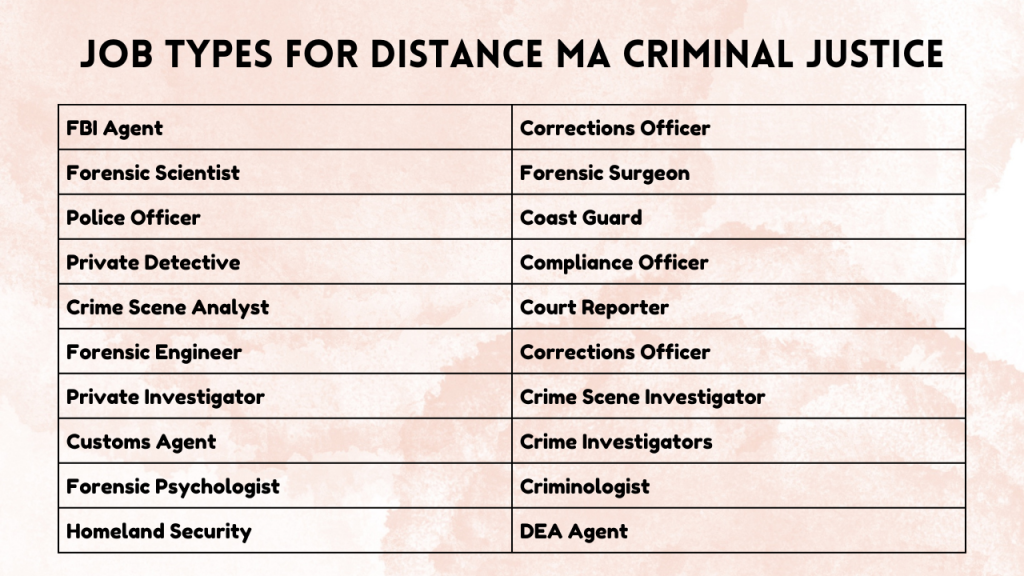 Job Types for Distance MA Criminal Justice