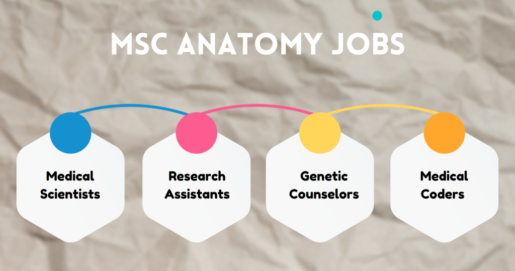 MSc Anatomy Jobs